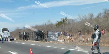 Tráiler vuelca en la Mazatlán-Culiacán; transportaba plátanos y papayas