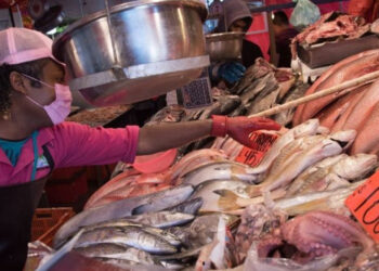 Pronostican un alza de precios de pescados y mariscos