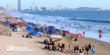 “No porque cobremos caro no nos vamos a llenar”: José Gámez