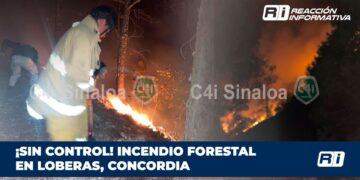 ¡Sin control! Incendio forestal en Loberas, Concordia