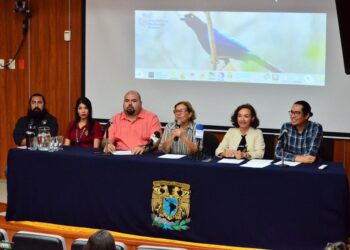 Mazatlán va por el primer lugar en el Reto Naturalista 2023