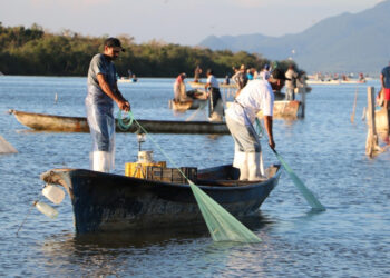 Esta semana comenzará la dispersión del recurso para Inspección y Vigilancia en Sinaloa: Guerra Mena
