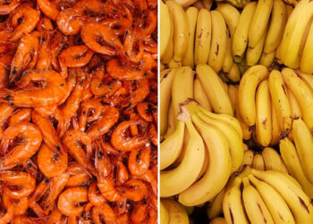 Negociaciones entre Ecuador y México, “paralizadas” por el camarón y el plátano