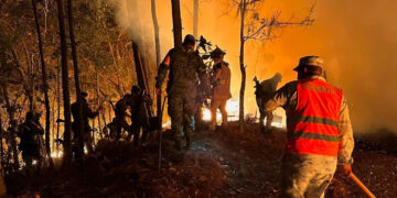 Llama Ecología y Medio Ambiente a prevenir incendios forestales