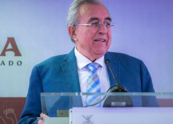 Está por definirse el precio del trigo: Rocha