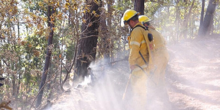 Tras controlarse incendio en Concordia, pobladores regresaron a sus viviendas: Protección Civil