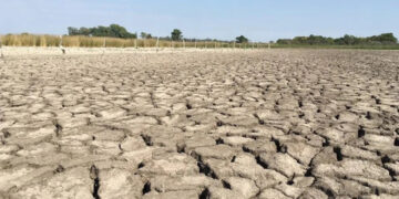 El Niño favorecerá sequías severas y picos de calor, advierten