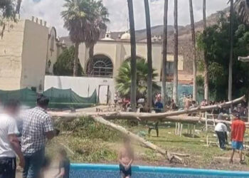Bebé muere tras colapso de árbol en balneario de Guanajuato