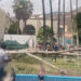 Bebé muere tras colapso de árbol en balneario de Guanajuato