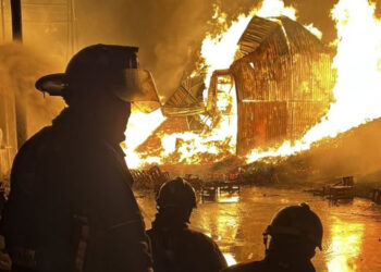Incendio en la Central de Abasto: continúan trabajos de enfriamiento en la zona