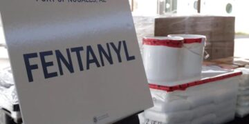 ‘Narco’ mexicano ‘profesionaliza’ el cultivo de droga en Colombia