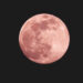Luna Rosa de Abril 2023, ¿Cuánto falta para ver este fenómeno astronómico?