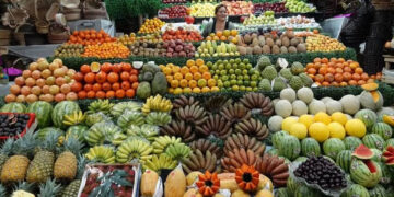 Inflación en México: ¿Qué tanto subieron los precios de las frutas de 2022 al 2023?