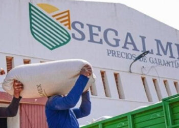 Segalmex, con ola de dudas entre productores