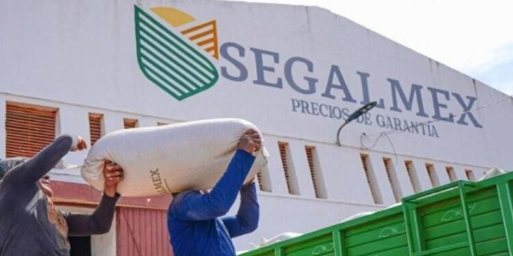 Segalmex, con ola de dudas entre productores