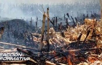 Con instalación de comité PC regulará la quema de Soca