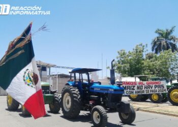 Productores de maíz y trigo tienen Plan B ante quejas