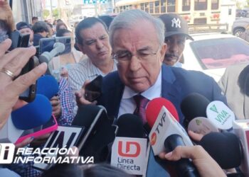 Se comprará el maíz de acuerdo al modelo planteado: Rocha Moya