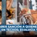 Podría haber sanción a quienes dejen mascotas en los techos con la llegada de altas temperaturas; Ecología y Medio Ambiente