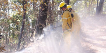 Llaman a evitar incendios forestales