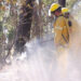 Llaman a evitar incendios forestales