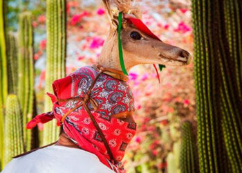 Presenta SECTUR rutas turísticas en los 18 municipios con programa “Descubre Sinaloa”