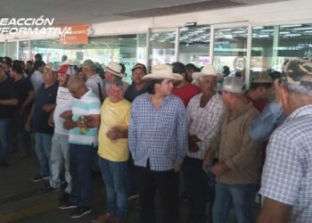 Toman productores Aeropuerto Internacional de Culiacán