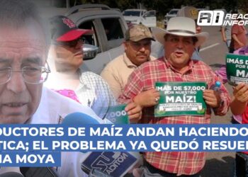 Productores de maíz andan haciendo política; el problema ya quedó resuelto: Rocha Moya
