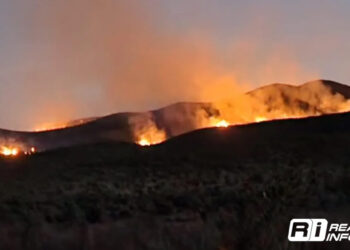 Se registra incendio forestal en la Sierra de El Sabino, entre Zacatecas y SLP