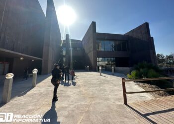 En julio abrirán el “viejo acuario” con la exhibición de pingüinos y lobos marinos