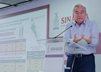 SEGALMEX pagará los martes y sábados el maíz ya acopiado