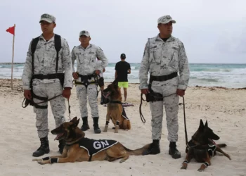 Refuerzan seguridad en Caribe mexicano ante próxima temporada de vacaciones