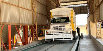 Este lunes inicia SEGALMEX con los registros para pagar el maíz