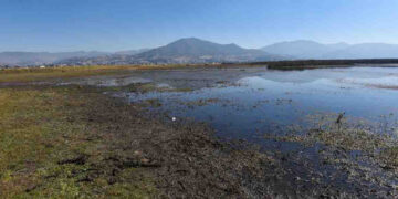 A la baja principales presas de México; el déficit de agua pasó de 7 a 8%