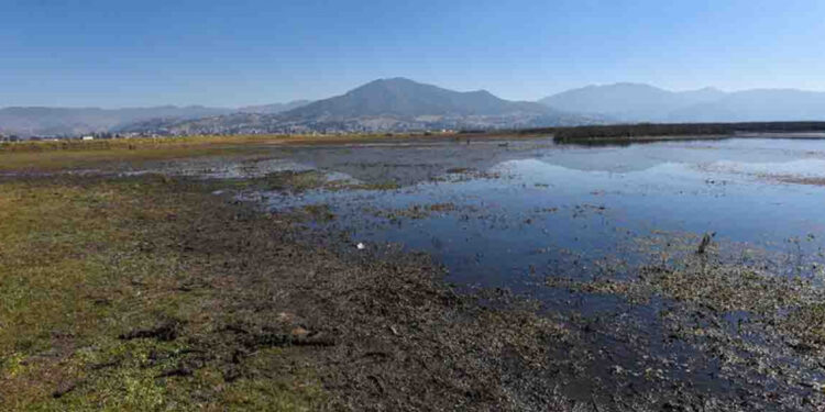 A la baja principales presas de México; el déficit de agua pasó de 7 a 8%