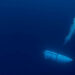 ¿Qué es “Implosión”? Explican Qué Pasó con Titan, el Submarino Desaparecido
