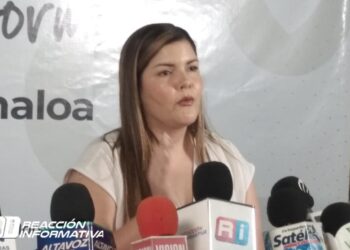 Opositores son muy aspiracionistas y solo lograrán las plurinominales: Merary Villegas