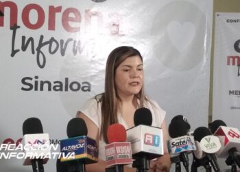 Opositores son muy aspiracionistas y solo lograrán las plurinominales: Merary Villegas