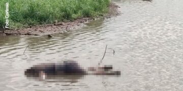 Aparece un hombre sin vida flotando en el río Humaya