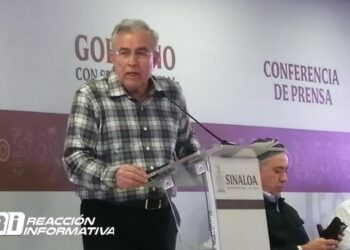 El 80% de los apagones son a causa de los árboles: CFE