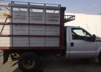 Sedena, Guardia Nacional y Policía Estatal aseguran a hombre armado