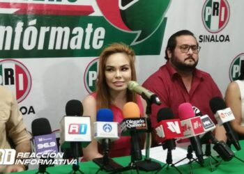 Es inhumano el servicio de la CFE: Paola Gárate