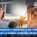 Lleva a tu mascota y regístrala en “Tenencia Responsable”; la nueva campaña de Ecología