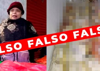 Desmienten autoridades que exista tamalera que utilizara carne humana para sus tamales