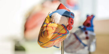 México mantiene como principal causa de muerte las enfermedades del corazón