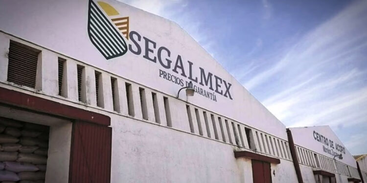 Segalmex desiste de contratar seguros de vida; “licitación ocasionaría daño patrimonial”
