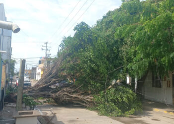 Intensa tormenta deja afectaciones fuertes en el puerto de Mazatlán