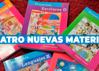 SEP implementa 4 nuevas materias para nivel primaria
