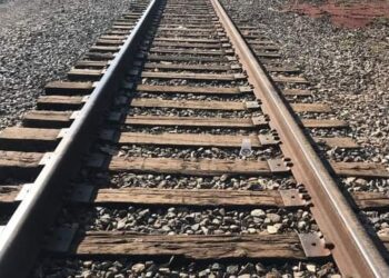 Adulto mayor resulta lesionado luego de ser atacado por abejas; los hechos al norte de Mazatlán