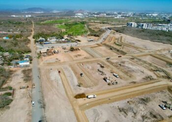 En Mazatlán no hay cumplimiento de la ley; desarrolladores construyen sin supervisión afectando la fauna, acusa CONREHABIT